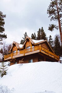 Home landscape winter photo
