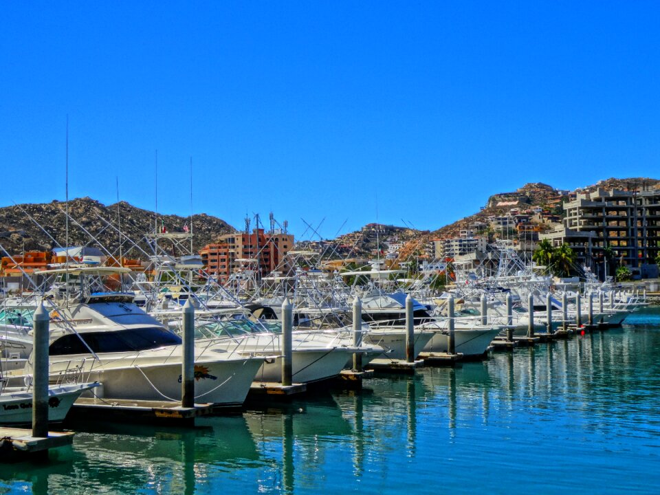 Marina los cabos cabo san lucas