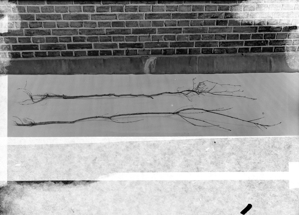 Afgeplakt,_Bestanddeelnr_165-0377