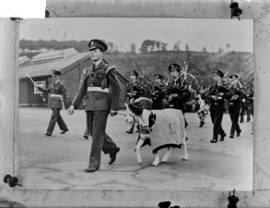 Afscheid_Sergeant_Lewis_van_de_RAF,_Bestanddeelnr_903-0543