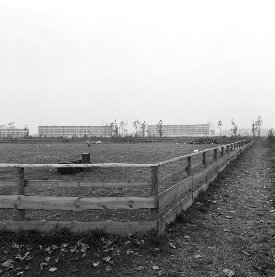 Afrasteringen,_kinderboerderijen,_Bestanddeelnr_167-0804