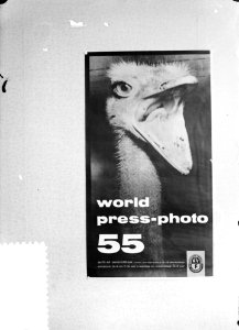 Affiche_Internationaal_persfototentoonstelling_Amsterdam_(World_Press_Photo_1955,_Bestanddeelnr_907-4539