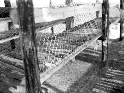 Afgewerkt_met_harmonicagaas_en_sluiting,_Bestanddeelnr_192-0029