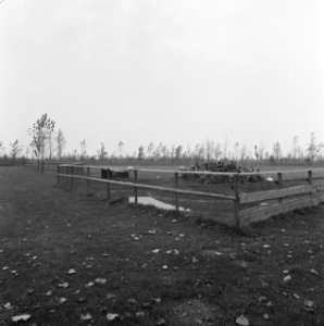 Afrasteringen,_kinderboerderijen,_Bestanddeelnr_167-0803