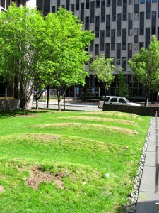 African_Burial_Ground6