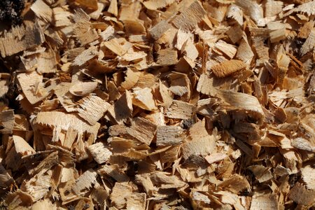 Wood incomplete brown