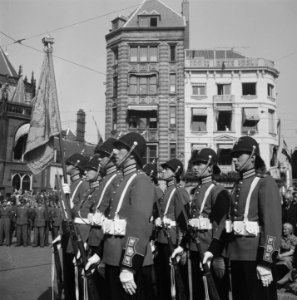 Aflossing_wacht_bij_Paleis._Grenadiers,_Bestanddeelnr_902-9946
