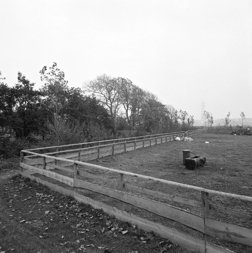 Afrasteringen,_kinderboerderijen,_Bestanddeelnr_167-0436