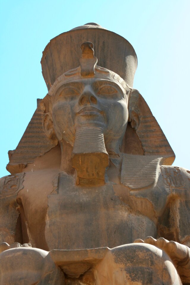 Animal hieroglyph ancient