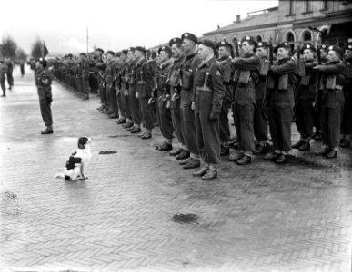Afscheidsdefile_5e_en_9e_Regiment_Infanterie,_Bestanddeelnr_902-4742