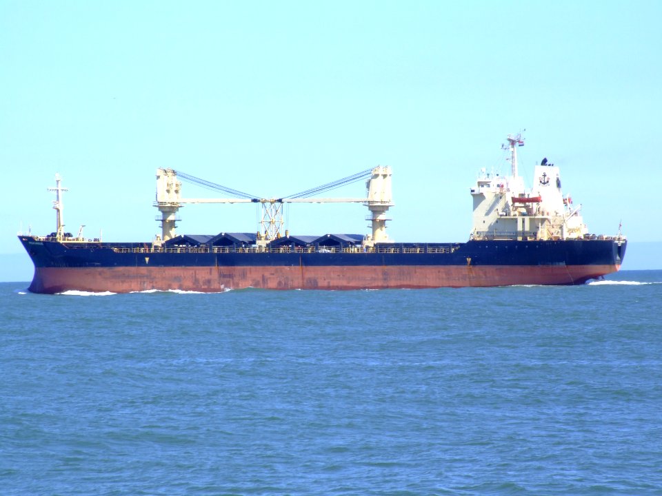 African_Sandarling_p3_at_Port_of_Rotterdam_04aug2007
