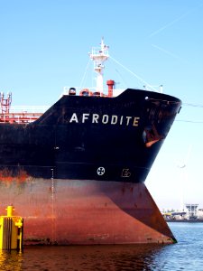 Afrodite_IMO_9292620_pic5