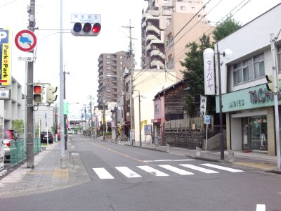 Aichi_Pref_r-138_Tennodori5