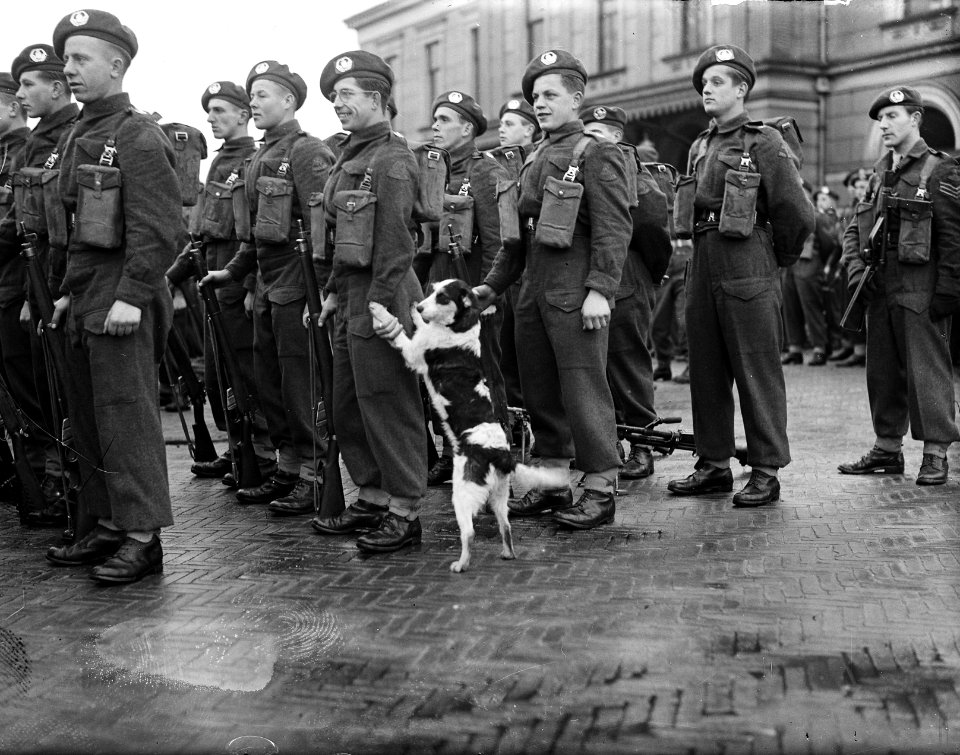 Afscheidsdefile_5e_en_9e_Regiment_Infanterie_te_Zwolle,_Bestanddeelnr_902-4741