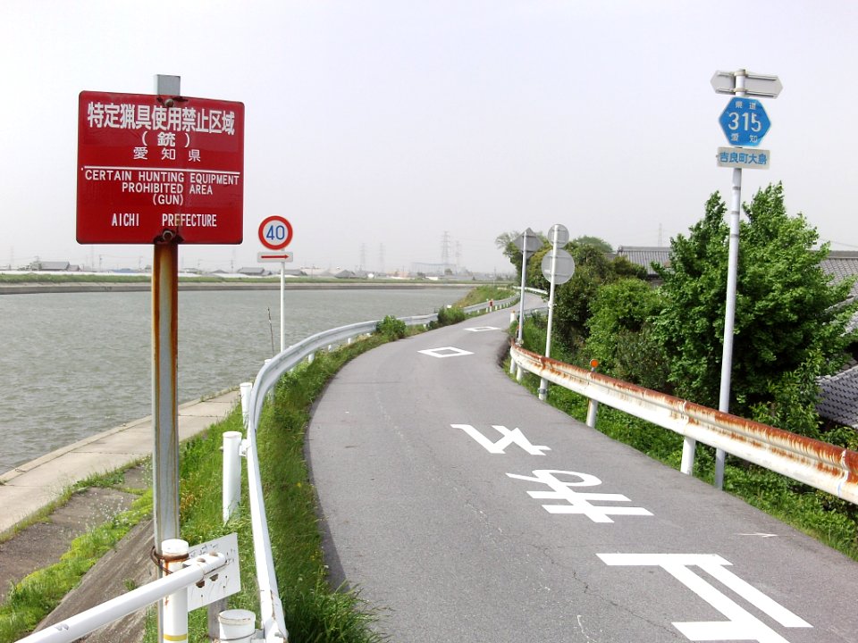Aichi_Pref_r-315_Ojima