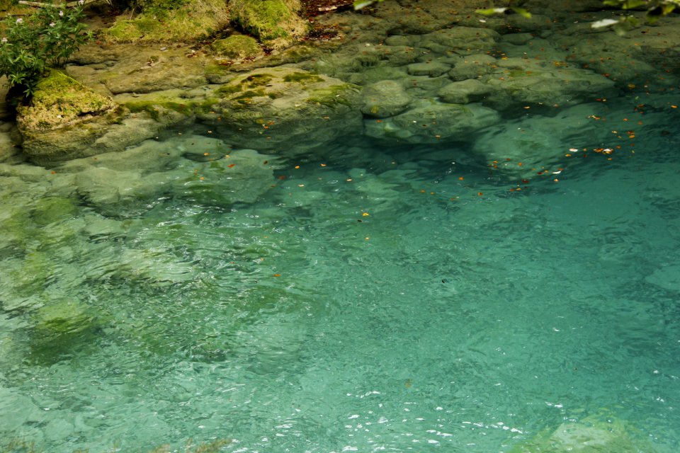 Agua_del_urederra