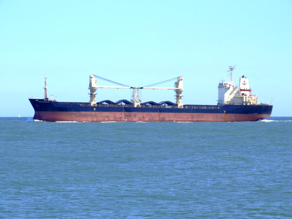 African_Sandarling_p2_at_Port_of_Rotterdam_04aug2007