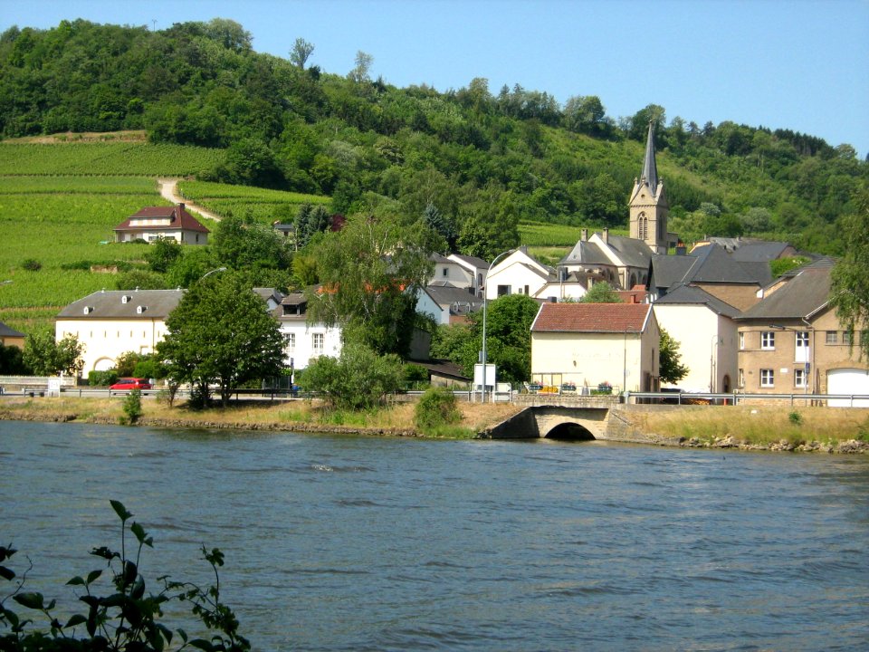 Ahn2