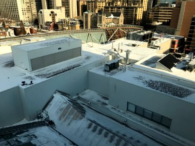 AGO_Rooftops_02