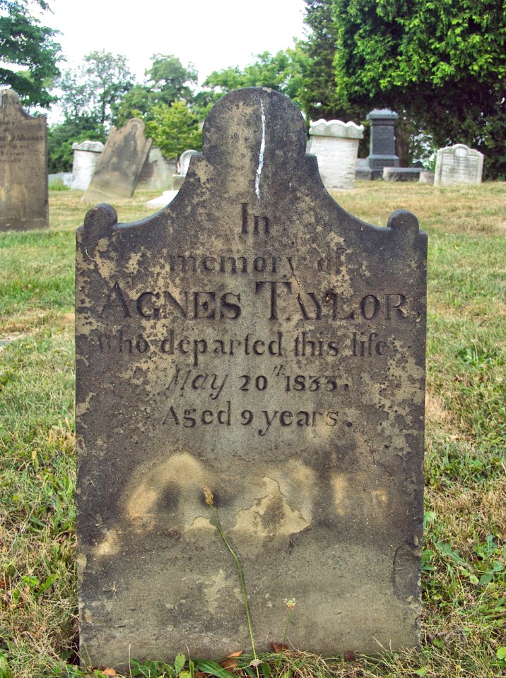 Agnes_Taylor_Tombstone,_Hiland_Cemetery,_2015-08-17,_01