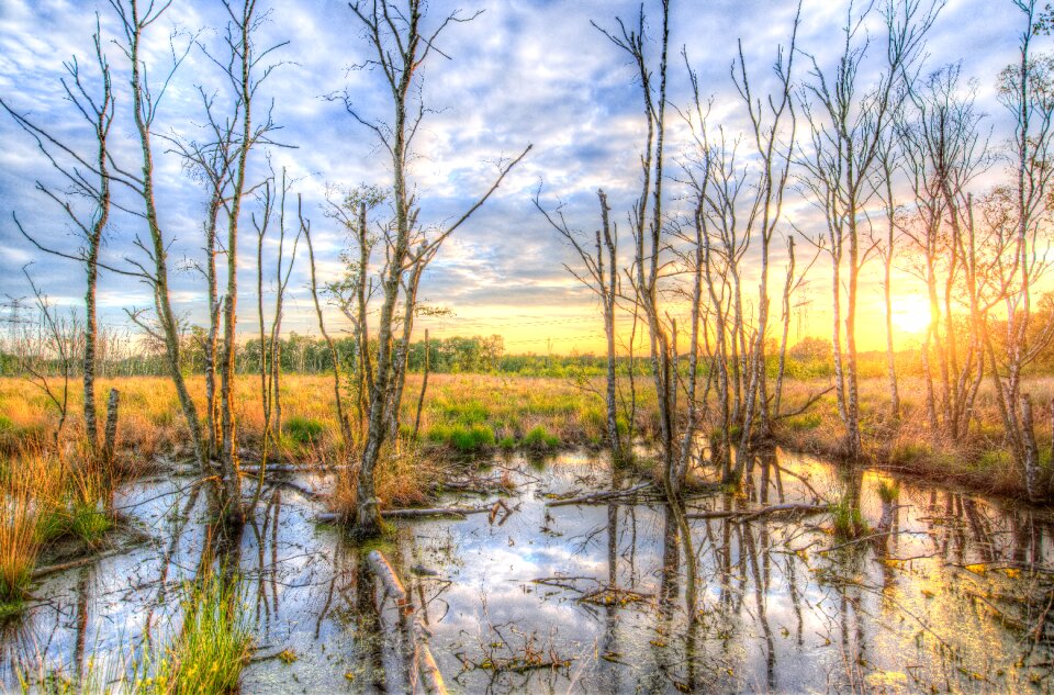 Scenic lake nature