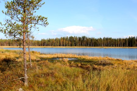 Ahmasjärvi_Oulu_20130915_01