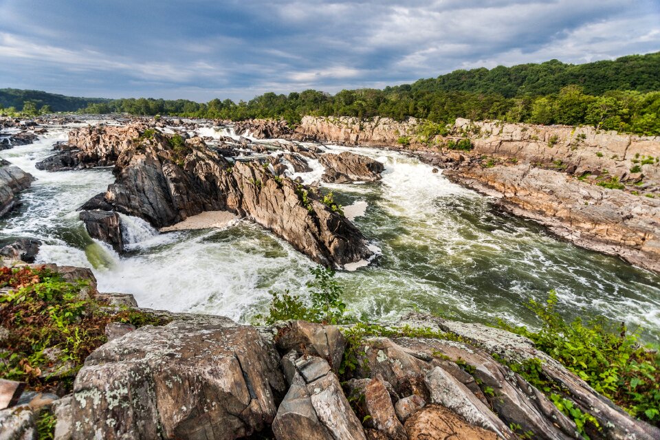 Waterfall wildlife river