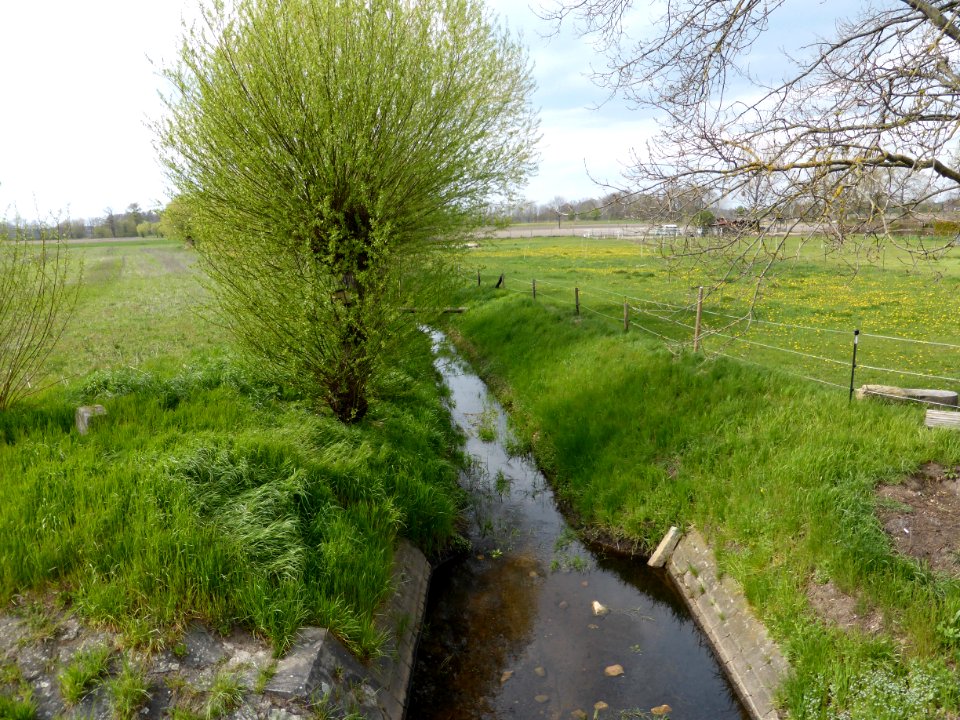 Ahnebeck_Croya_Graben