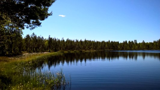 Ahvenlammit_Oulu_S