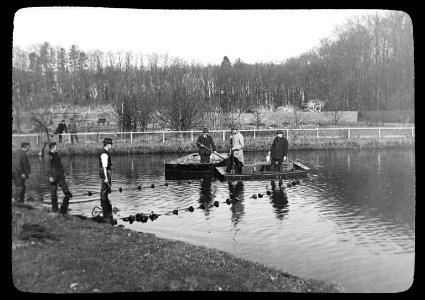 Afvissen_kweekvijver_Sonsbeek_te_Arnhem,_Bestanddeelnr_194-1068