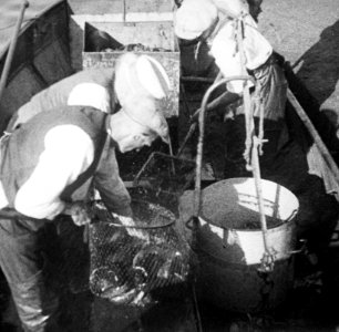 Afwegen_voor_aflevering_in_wagon,_Bestanddeelnr_194-1035
