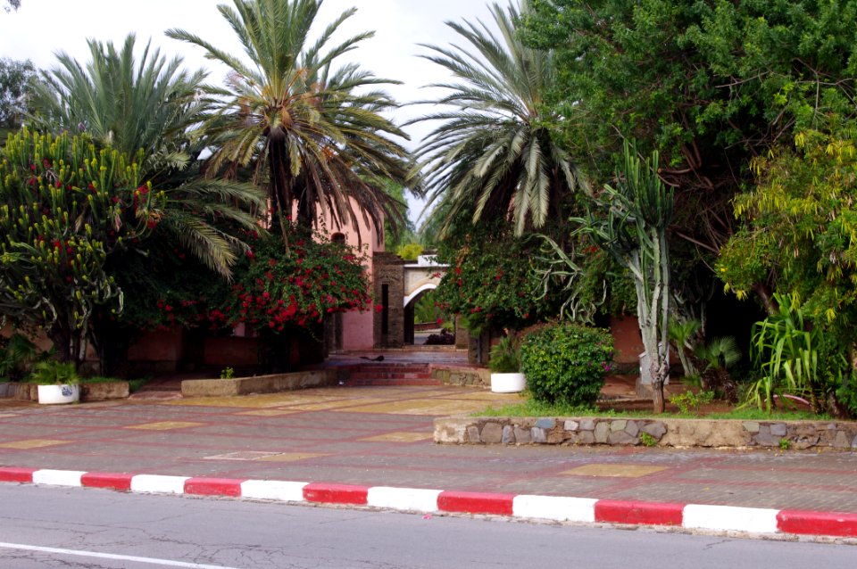 Agadir_28.01.2011_15-25-16