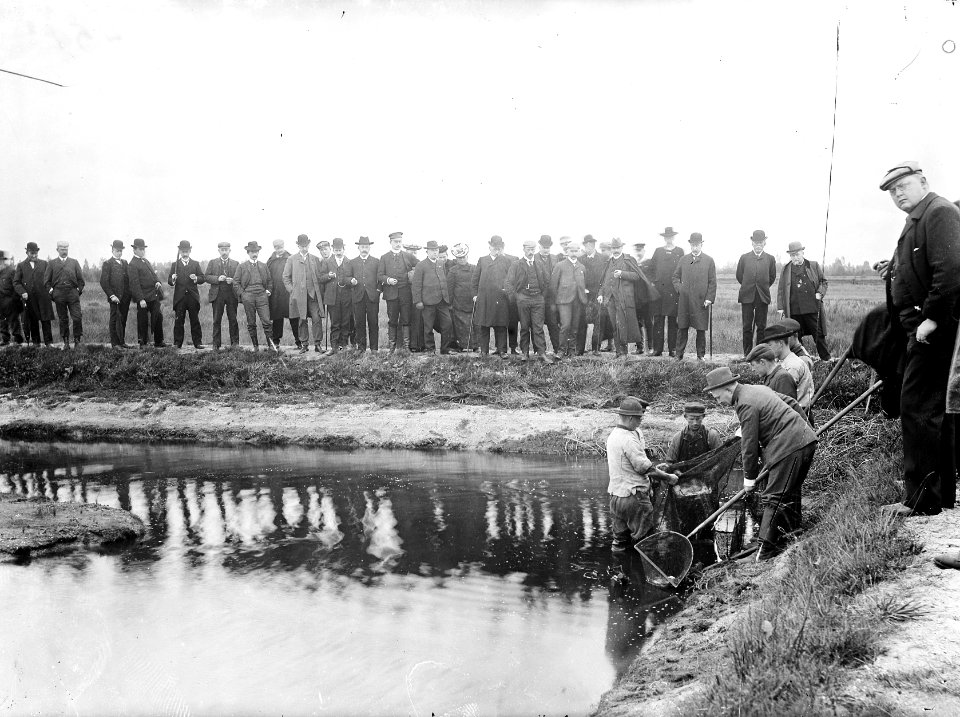 Afvissen_van_de_vijvers_in_het_najaar,_Bestanddeelnr_192-0827