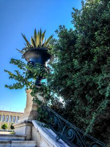 Agave_plant_in_a_beautifull_flowerpot_on_the_stairs_of_Zappeion_Gardens photo
