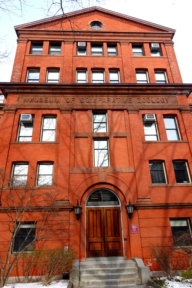 Agassiz_Hall_(Museum_of_Comparative_Zoology)_-_Harvard_University_-_Cambridge,_MA_-_DSC02643