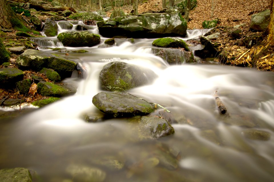 After_The_Rain_(206192169)
