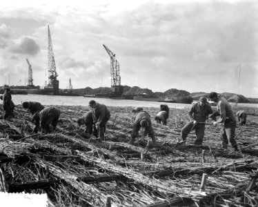 Afsluiting_Haringvliet._Vervaardiging_van_zinkstukken,_grootste_van_Nederland_in,_Bestanddeelnr_908-1121