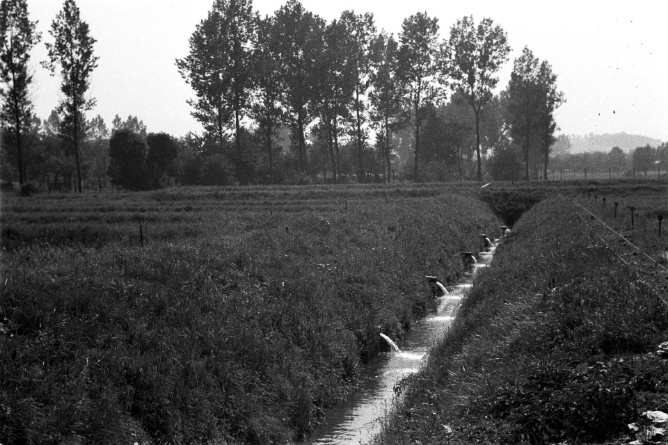 Afvoer_van_broedvijvers,_Bestanddeelnr_170-0584