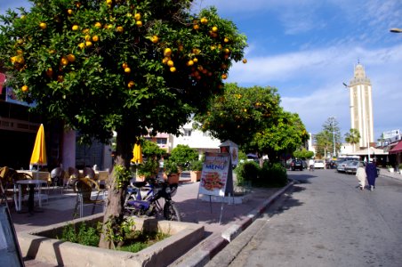 Agadir_23.01.2011_16-42-33 photo