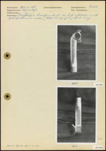 Afzuiging_bij_de_Hollandse_Knopenfabriek_te_Spakenburg,_Bestanddeelnr_256-3055