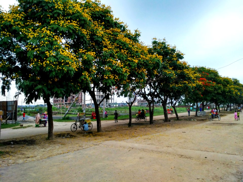 Aftab_Nagar,_Dhaka_