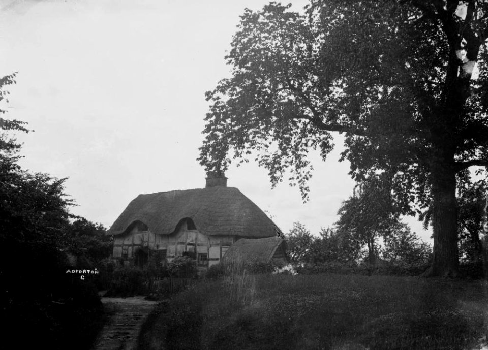 Adforton_(1294967)