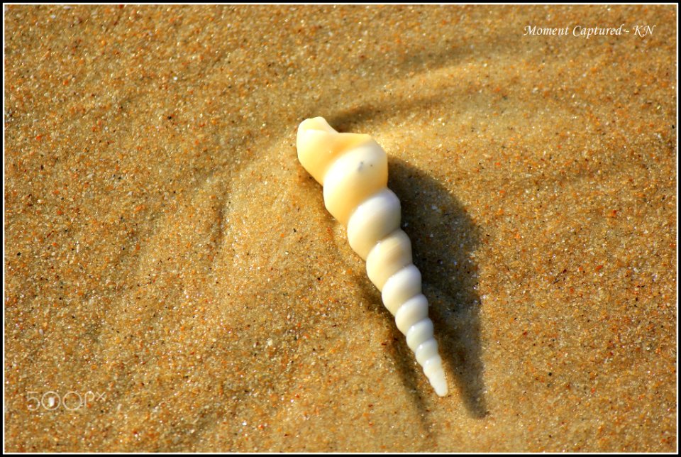 After_Life_In_Beach_(137104625)