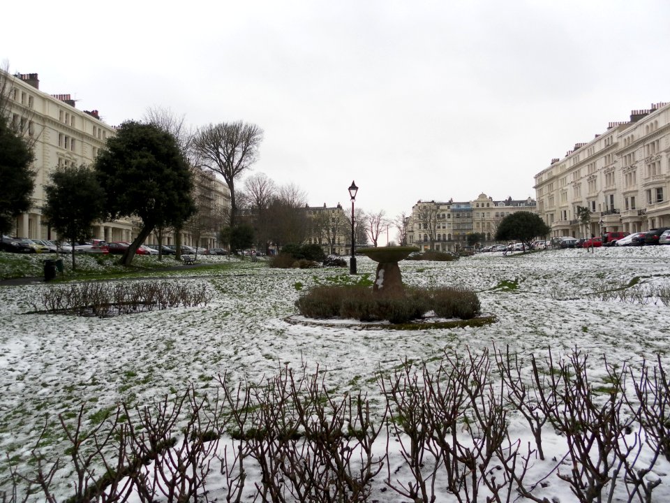 Adelaide_Crescent,_Hove_(Gardens_looking_North)_(January_2013)
