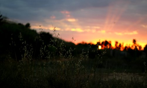 Adiós_De_Luz_(262560677)