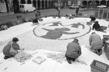 Actie_Schreeuw_om_leven_bloemenmozaiek_op_het_Binnenhof,_Bestanddeelnr_934-2388