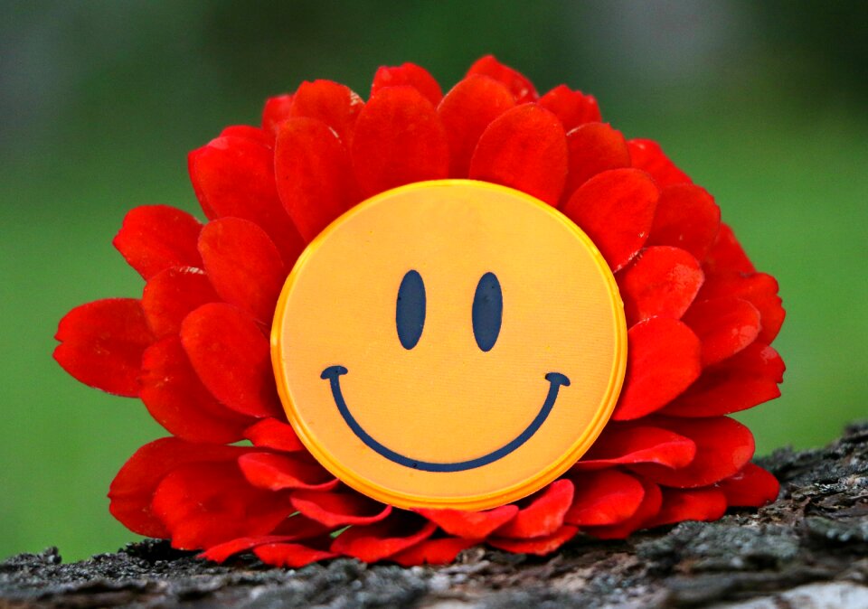 Laughter mood happiness