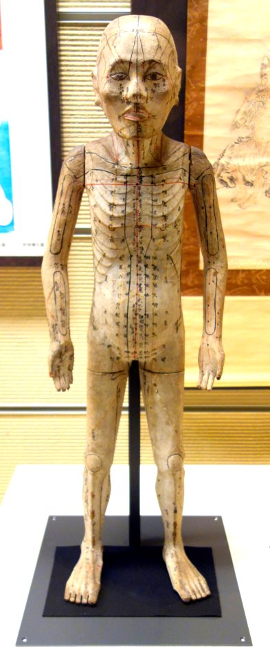 Acupuncture_doll_-_National_Museum_of_Nature_and_Science,_Tokyo_-_DSC07438