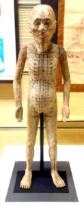 Acupuncture_doll_-_National_Museum_of_Nature_and_Science,_Tokyo_-_DSC07438