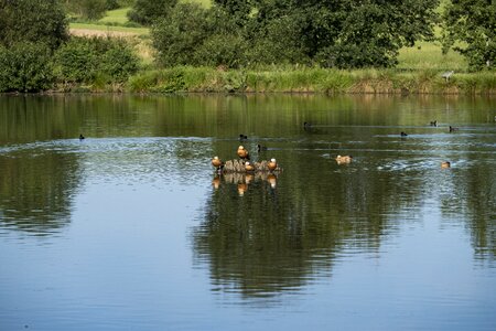 Bach water nature photo